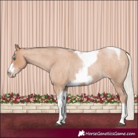 Horse Color:Silver Blue Roan Pearl Tobiano Frame