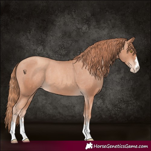 Horse Color:Gold Champagne Varnish 
