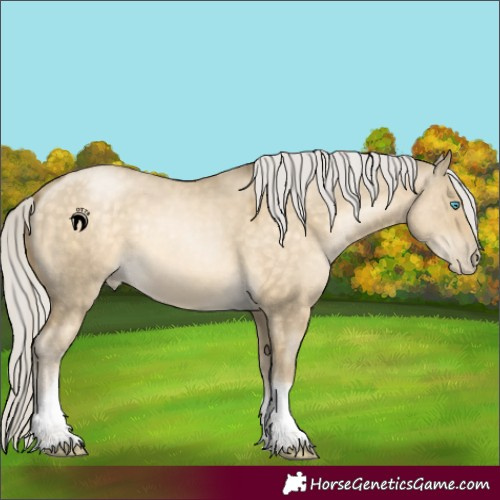 Horse Color:Silver Buckskin Pearl Dun Tobiano Rabicano 