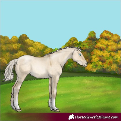 Horse Color:Silver Buckskin Pearl Dun Tobiano Rabicano 