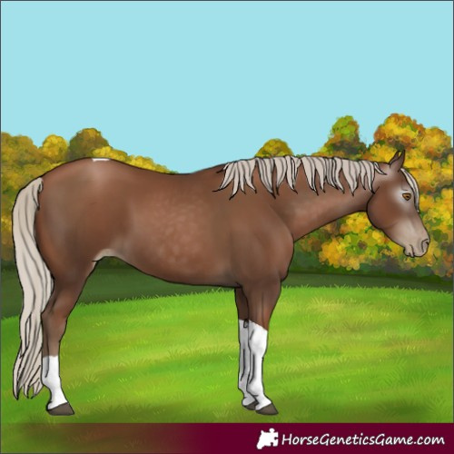 Horse Color:Gray Silver Black Pearl Tobiano 