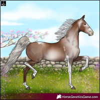 Horse Color:Gray Silver Black Pearl Tobiano 