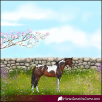 Horse Color:Powder White Bay Tobiano Rabicano