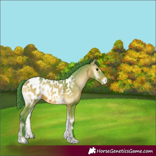Horse Color:Watercolor Brown Onyx Near Leopard 