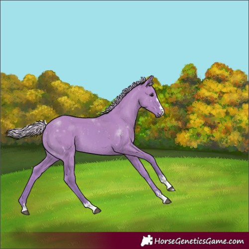 Horse Color:Watercolor Silver Grullo 