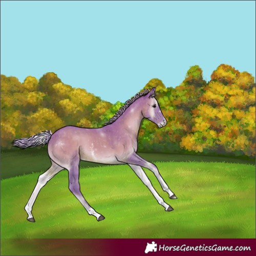 Horse Color:Watercolor Silver Blue Onyx Sabino 