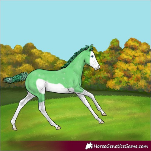 Horse Color:Watercolor Grullo Splash Frame 