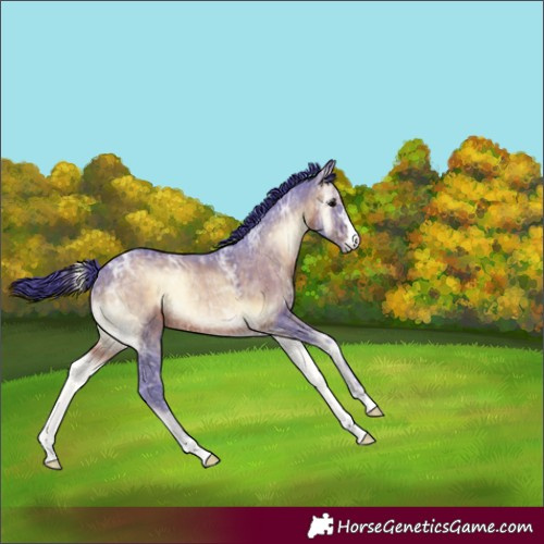 Horse Color:Watercolor Brown Ice Onyx 
