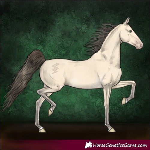 Horse Color:Amber Cream Champagne 