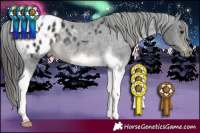 Horse Color:Black Tobiano Appaloosa Rabicano 