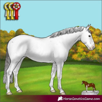 Horse Color:Smoky Black Sabino Near Leopard 