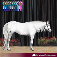 Horse Color:Gray Silver Black Sabino Appaloosa 