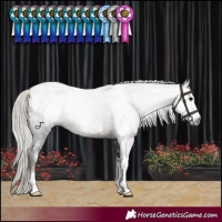 Horse Color:Gray Silver Black Sabino Blanket 