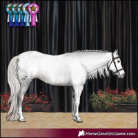 Horse Color:Gray Silver Black Sabino Appaloosa