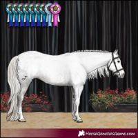 Horse Color:Gray Silver Black Sabino Blanket 
