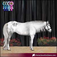 Horse Color:Gray Silver Black Sabino Appaloosa