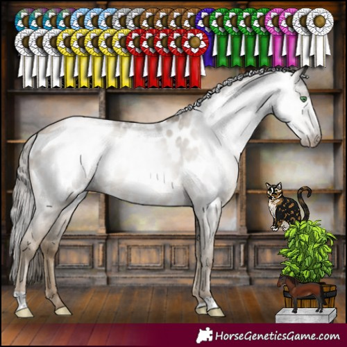 Horse Color:Gray Smoky Black Pearl Appaloosa Rabicano 