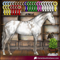 Horse Color:Gray Smoky Black Pearl Appaloosa Rabicano
