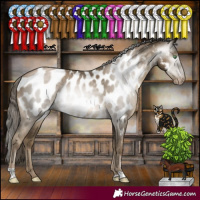 Horse Color:Gray Smoky Black Pearl Appaloosa Rabicano 