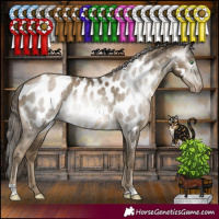 Horse Color:Gray Smoky Black Pearl Appaloosa Rabicano