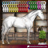 Horse Color:Gray Smoky Black Pearl Appaloosa Rabicano