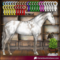 Horse Color:Gray Smoky Black Pearl Appaloosa Rabicano 