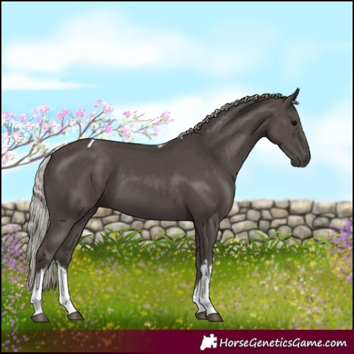 Horse Color:White Spotted Silver Black Tobiano 