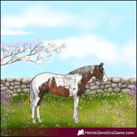Horse Color:Powder White Silver Brown Tobiano 