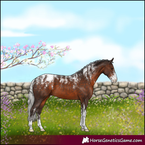 Horse Color:Powder White Silver Brown 