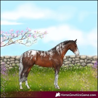 Horse Color:Powder White Silver Brown