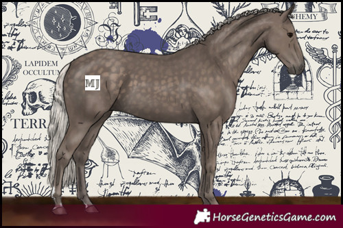 Horse Color:Silver Black 