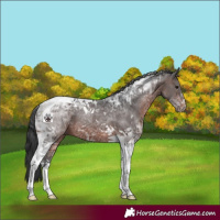 Horse Color:Brown Ice Tobiano 
