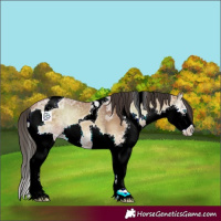 Horse Color:Bay Ice Onyx Splash Tobiano 