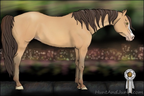 Horse Color:Amber Champagne 