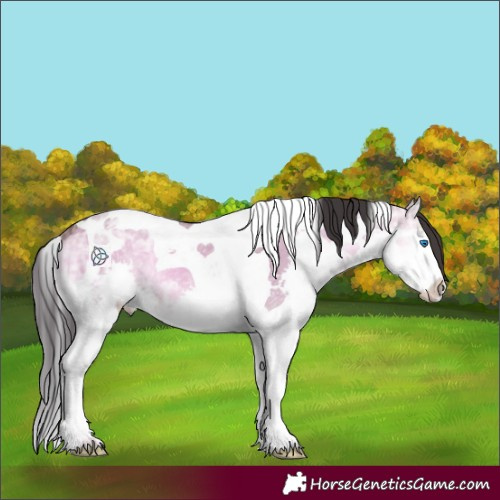 Horse Color:Brown Ice Onyx Splash Tobiano 