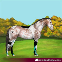 Horse Color:Bay Ice Onyx Sabino Tobiano 