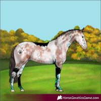 Horse Color:Bay Ice Onyx Sabino Tobiano 