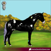 Horse Color:Watercolor Bay Ice Onyx Sabino