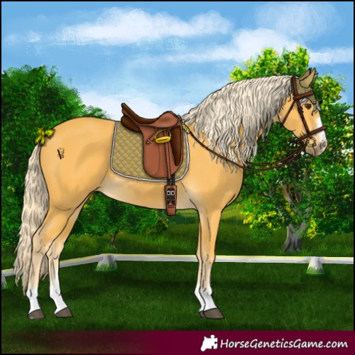 Horse Color:Palomino