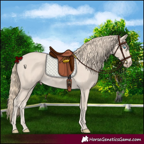 Horse Color:Smoky Creme 