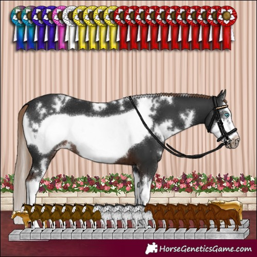 Horse Color:White Spotted Liver Chestnut Splash Frame