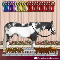 Horse Color:White Spotted Liver Chestnut Splash Frame 