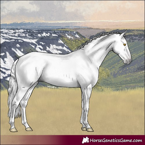 Horse Color:Gray Amber Champagne Tobiano