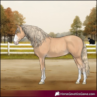 Horse Color:Gold Champagne 