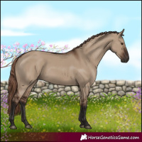Horse Color:Liver Red Dun Rabicano
