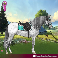 Horse Color:Liver Red Roan Blanket Rabicano