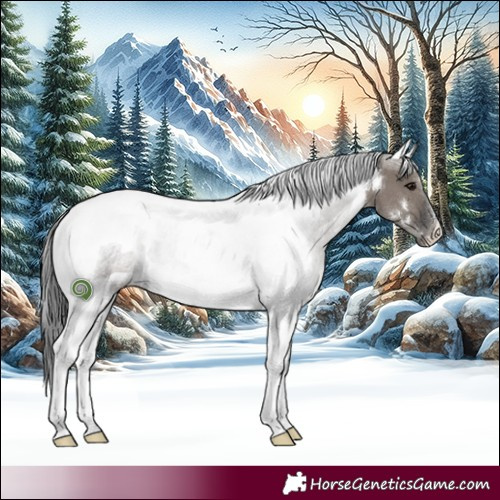 Horse Color:White Spotted Grullo Tobiano Rabicano 