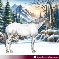 Horse Color:White Spotted Grullo Tobiano Rabicano 