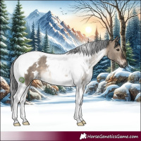 Horse Color:White Spotted Brown Dun Tobiano Rabicano
