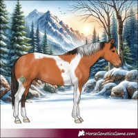 Horse Color:Bay Tobiano 